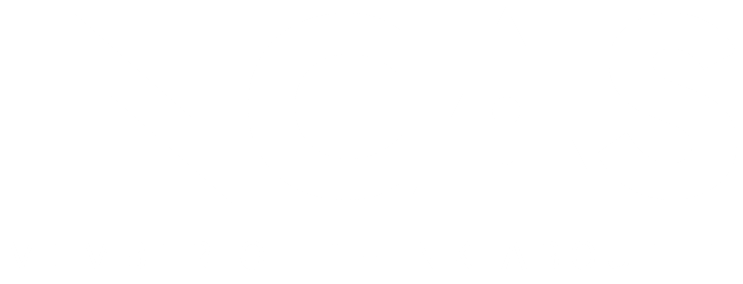 DNS Management Control Panel